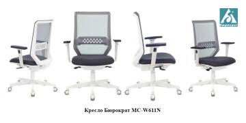 Бюрократ MC-W611N